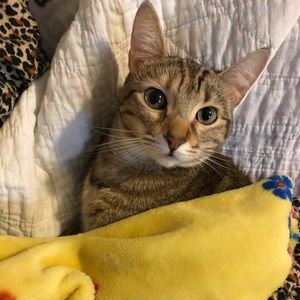 Meet your Posher, Tammy